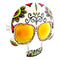 Dia De Los Muertos Sunglasses | Sun-Staches